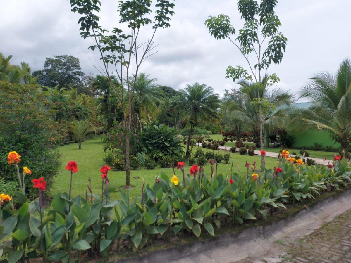 La Fortuna Hotel Villas Vilma מראה חיצוני תמונה