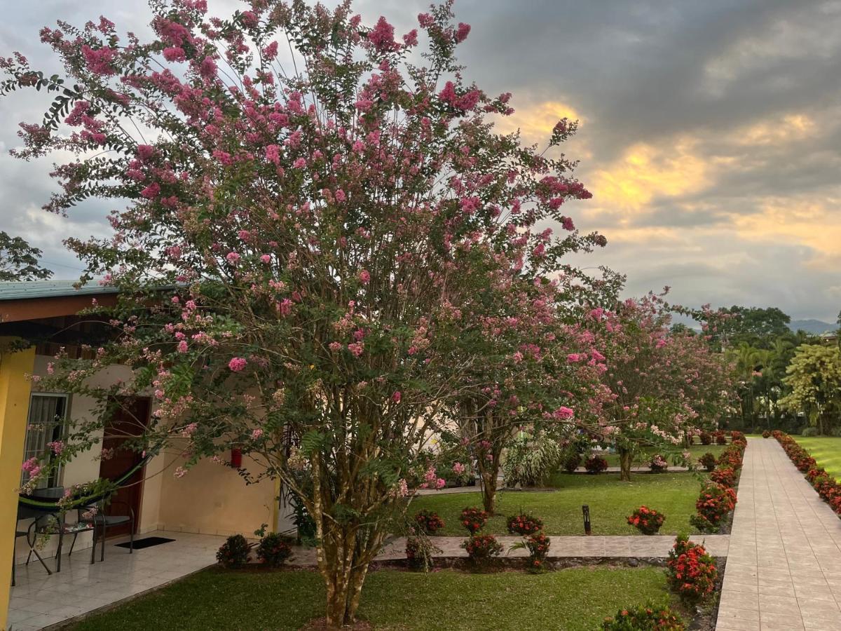 La Fortuna Hotel Villas Vilma מראה חיצוני תמונה