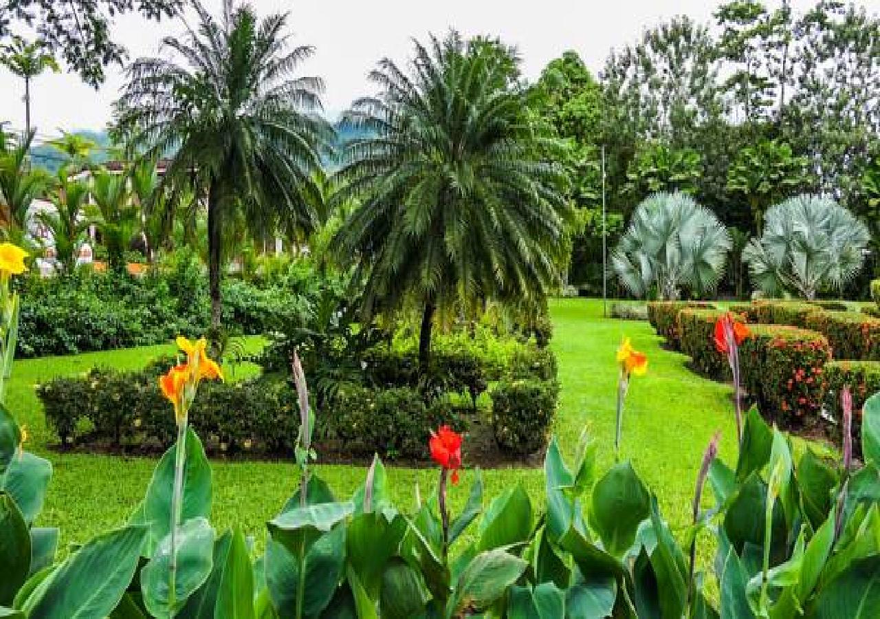 La Fortuna Hotel Villas Vilma מראה חיצוני תמונה