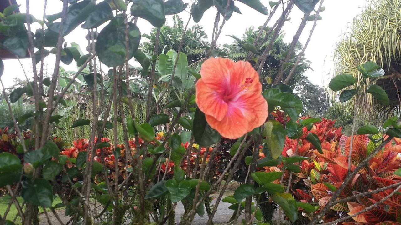 La Fortuna Hotel Villas Vilma מראה חיצוני תמונה